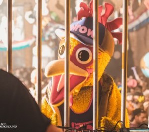 Elrow 5