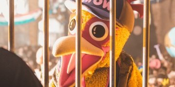 Focus on….Elrow